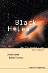 Edwin, T:  Black Holes: An Introduction (2nd Edition)