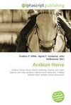 Arabian Horse