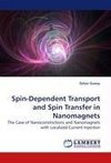 Spin-Dependent Transport and Spin Transfer in Nanomagnets