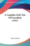 A Campfire Girl's Test Of Friendship (1914)