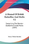 A Manual Of British Butterflies And Moths V2