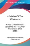 A Soldier Of The Wilderness