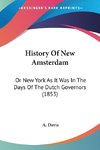 History Of New Amsterdam