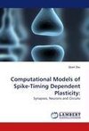 Computational Models of Spike-Timing Dependent Plasticity: