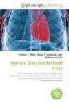 Human Gastrointestinal Tract
