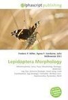 Lepidoptera Morphology