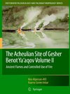 The Acheulian Site of Gesher Benot Ya'agov Volume II