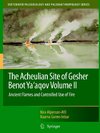 The Acheulian Site of Gesher Benot Ya'aqov Volume II