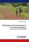 Pathways out of poverty in rural Mozambique