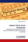 Labour Costs of an Enterprise