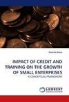 IMPACT OF CREDIT AND TRAINING ON THE GROWTH OF SMALL ENTERPRISES