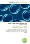 Adult Stem Cell