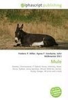 Mule
