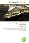 Elapidae