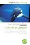Evolution of Cetaceans