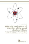 Molecular mechanisms of the effect of the mood stabilizer lithium