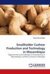 Smallholder Cashew Production and Technology in Mozambique