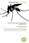 Anopheles