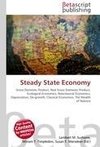 Steady State Economy