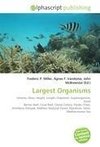 Largest Organisms