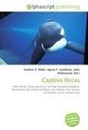 Captive Orcas