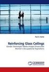 Reinforcing Glass Ceilings
