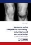 Neuromuscular adaptations following  ACL injury and reconstruction