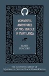 Wonderful Adventures of Mrs. Seacole in Many Lands
