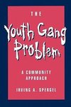 The Youth Gang Problem