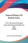 Natural History Of British Fishes