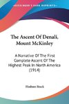 The Ascent Of Denali, Mount McKinley