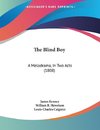 The Blind Boy