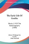 The Early Life Of Goethe