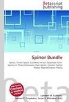 Spinor Bundle