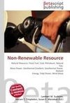 Non-Renewable Resource