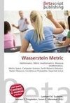 Wasserstein Metric