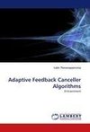 Adaptive Feedback Canceller Algorithms