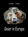 Geier in Europa