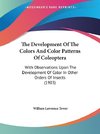 The Development Of The Colors And Color Patterns Of Coleoptera