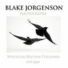 Blake Jorgenson Photography