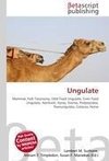 Ungulate