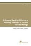 Enhanced Coal Bed Methane recovery finalized to carbon dioxide storage