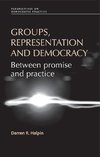 Groups, representation and democracy
