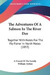 The Adventures Of A Salmon In The River Dee