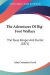 The Adventures Of Big-Foot Wallace