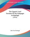 The Gigantic Land Tortoises Of The Galapagos Archipelago (1914)