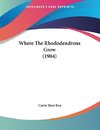 Where The Rhododendrons Grow (1904)