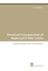 Structural Incorporation of Neptunyl(V) into Calcite