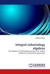 Integral cohomology algebras