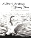 A Heart's Awakening & Journey Home